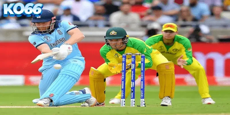 Bảng thông số chi tiết và lịch sử đối đầu của các vận động viên cricket trước giờ thi đấu